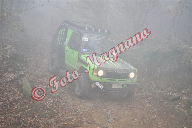 DSC_3677.jpg